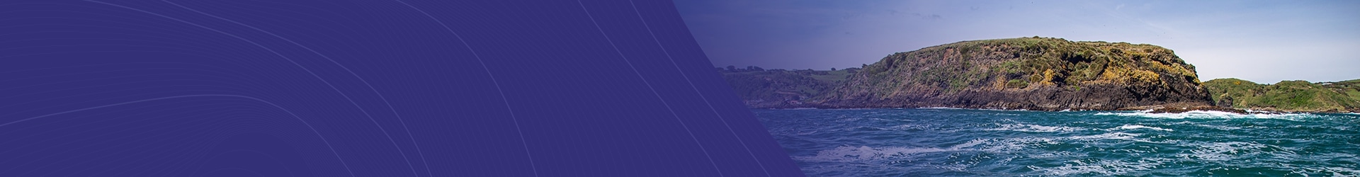 Top Gestão da Bacia